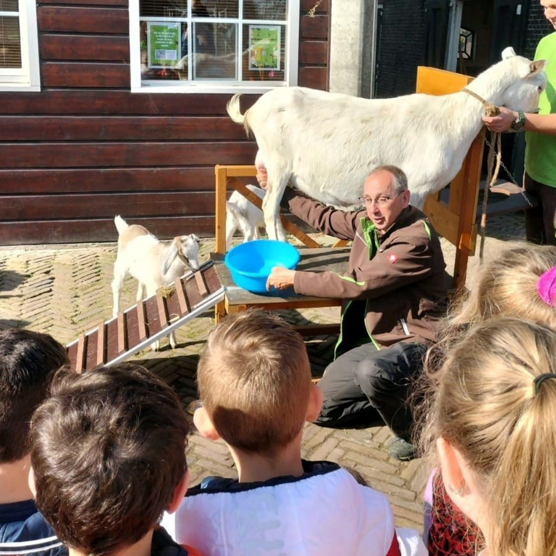 educatiemedewerker Natuurstad melkt een geit