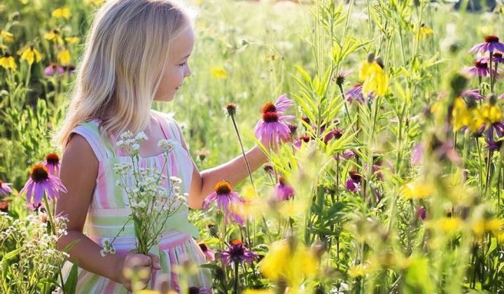 meisje plukt bloemen in een veld